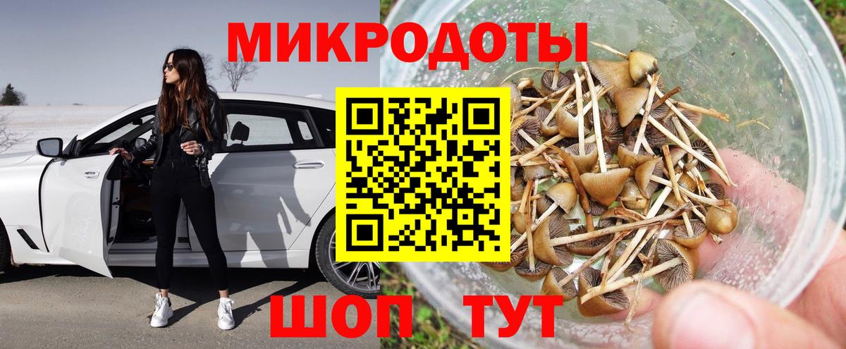 Можга  закладки  Вход с VPN  Галлюциногенные грибы ЛСД  Галлюциногенные грибы Psilocybine cubensis 