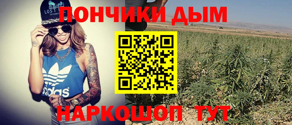Бошки Шишки Amnesia Можга